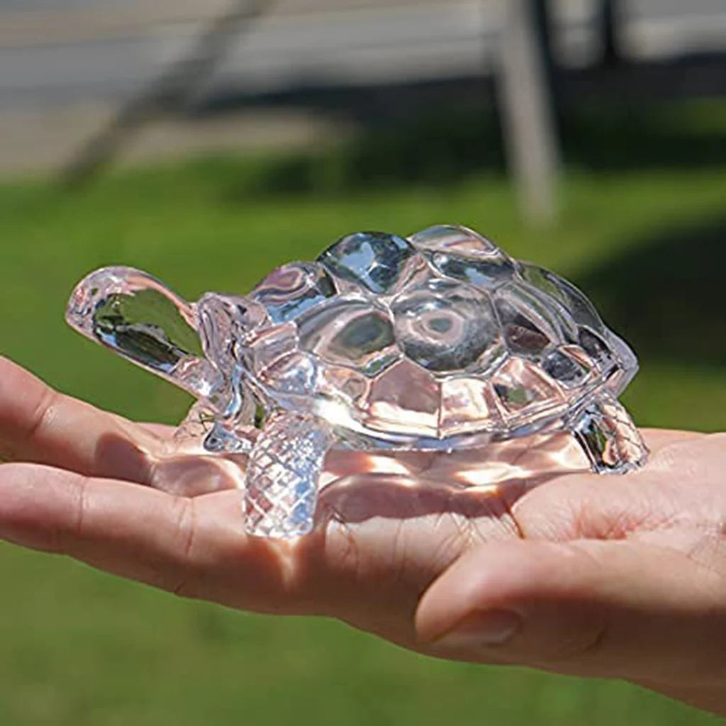 Crystal Turtle