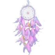 Dream Catcher